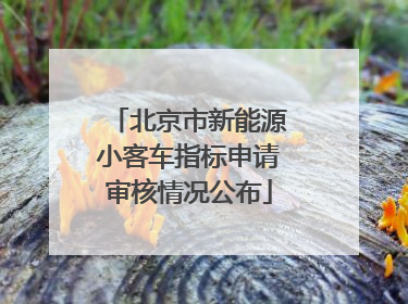 北京市新能源小客车指标申请审核情况公布