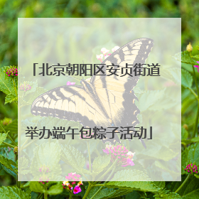 北京朝阳区安贞街道举办端午包粽子活动