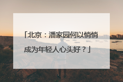 北京：潘家园何以悄悄成为年轻人心头好？