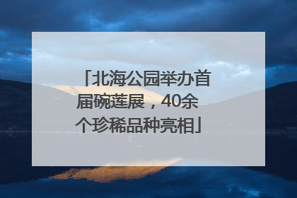 北海公园举办首届碗莲展，40余个珍稀品种亮相