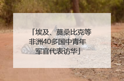 埃及、莫桑比克等非洲40多国中青年军官代表访华