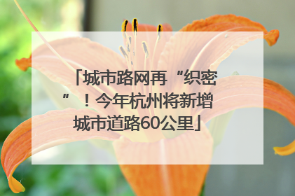 城市路网再“织密”！今年杭州将新增城市道路60公里
