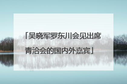 吴晓军罗东川会见出席青洽会的国内外嘉宾