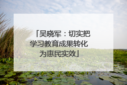 吴晓军：切实把学习教育成果转化为惠民实效