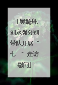 吴毓舟、刘永强分别带队开展“七一”走访慰问