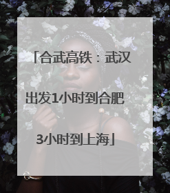合武高铁：武汉出发1小时到合肥3小时到上海