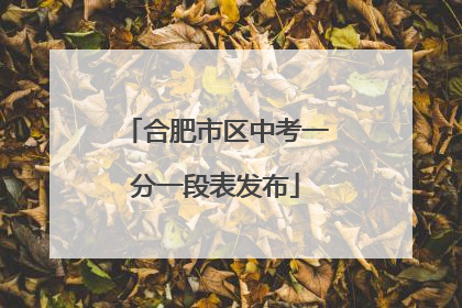 合肥市区中考一分一段表发布