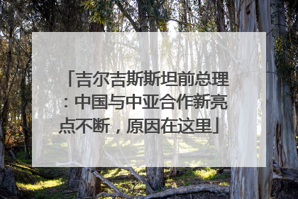 吉尔吉斯斯坦前总理：中国与中亚合作新亮点不断，原因在这里