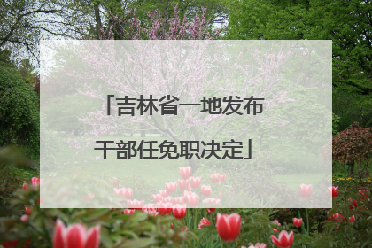 吉林省一地发布干部任免职决定