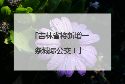 吉林省将新增一条城际公交！