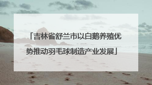 吉林省舒兰市以白鹅养殖优势推动羽毛球制造产业发展