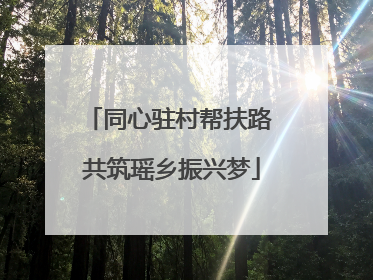 同心驻村帮扶路 共筑瑶乡振兴梦