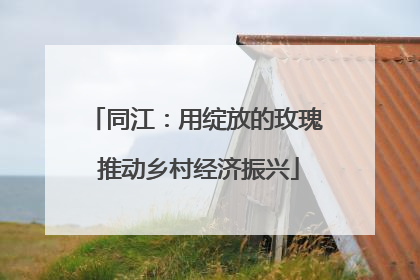 同江：用绽放的玫瑰 推动乡村经济振兴