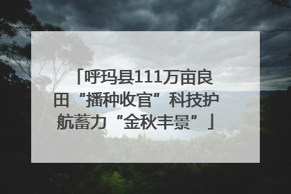 呼玛县111万亩良田“播种收官”科技护航蓄力“金秋丰景”