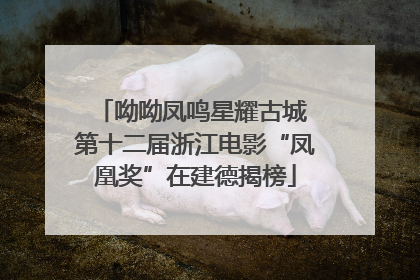 呦呦凤鸣星耀古城 第十二届浙江电影“凤凰奖”在建德揭榜