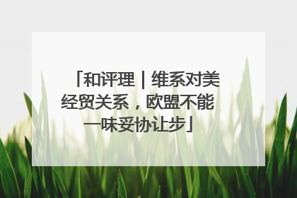 和评理｜维系对美经贸关系，欧盟不能一味妥协让步