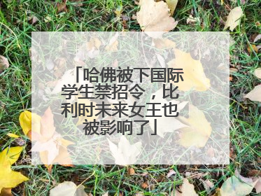 哈佛被下国际学生禁招令，比利时未来女王也被影响了