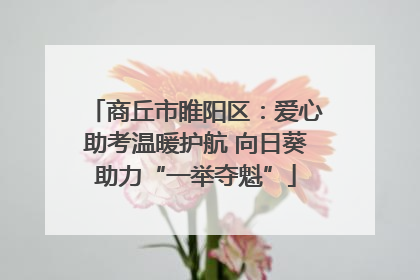 商丘市睢阳区：爱心助考温暖护航 向日葵助力“一举夺魁”