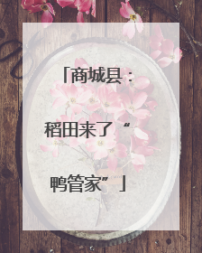 商城县：稻田来了“鸭管家”