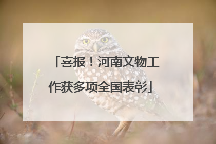 喜报！河南文物工作获多项全国表彰