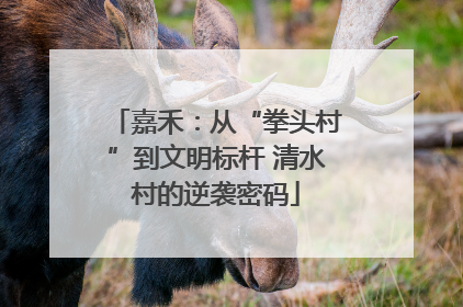 嘉禾：从“拳头村”到文明标杆 清水村的逆袭密码