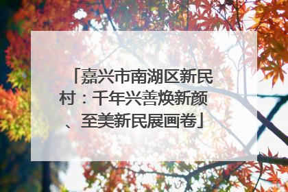 嘉兴市南湖区新民村：千年兴善焕新颜、至美新民展画卷