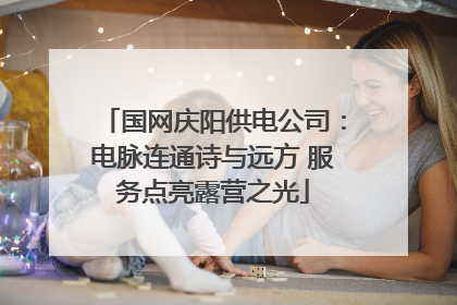 国网庆阳供电公司：电脉连通诗与远方 服务点亮露营之光