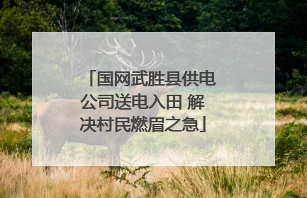 国网武胜县供电公司送电入田 解决村民燃眉之急