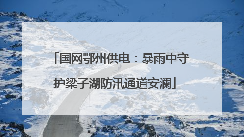 国网鄂州供电：暴雨中守护梁子湖防汛通道安澜