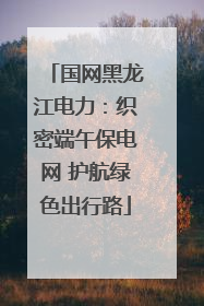 国网黑龙江电力：织密端午保电网 护航绿色出行路