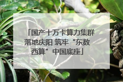 国产十万卡算力集群落地庆阳 筑牢“东数西算”中国底座