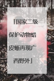 国家二级保护动物蜡皮蜥再现广西野外