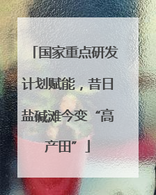 国家重点研发计划赋能，昔日盐碱滩今变“高产田”