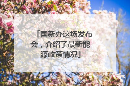 国新办这场发布会，介绍了最新能源政策情况