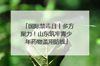 国际禁毒日丨多方聚力！山东筑牢青少年药物滥用防线