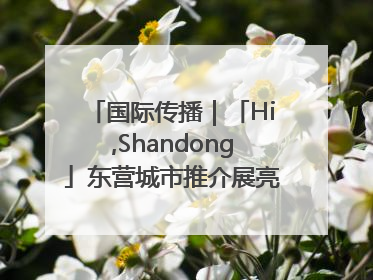 国际传播｜「Hi,Shandong」东营城市推介展亮相“从蒙马特到加里波第”文化节