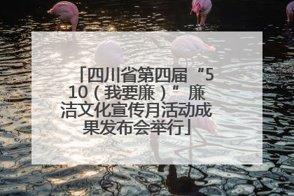 四川省第四届“510（我要廉）”廉洁文化宣传月活动成果发布会举行