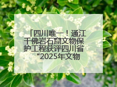 四川唯一！通江千佛岩石窟文物保护工程获评四川省“2025年文物保护优质工程”