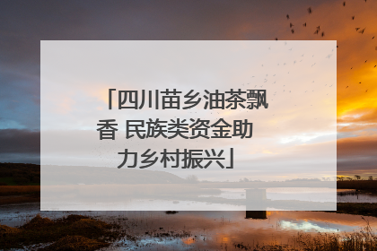 四川苗乡油茶飘香 民族类资金助力乡村振兴