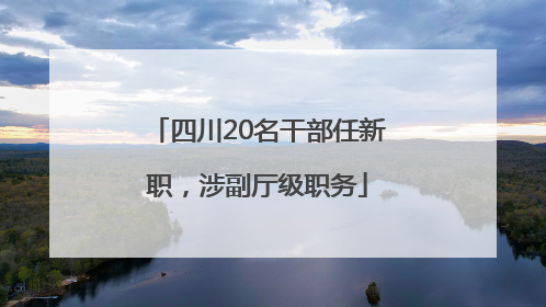 四川20名干部任新职，涉副厅级职务