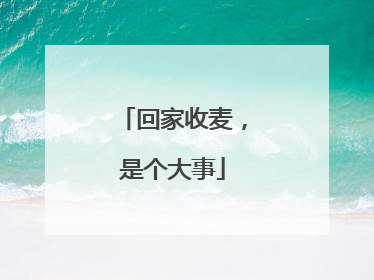回家收麦，是个大事