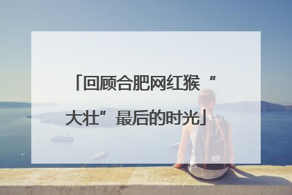 回顾合肥网红猴“大壮”最后的时光