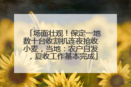 场面壮观！保定一地数十台收割机连夜抢收小麦，当地：农户自发，夏收工作基本完成