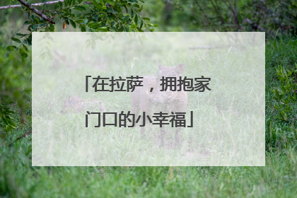 在拉萨，拥抱家门口的小幸福
