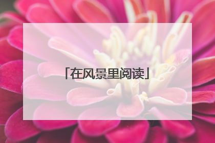 在风景里阅读