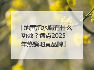 地黄泡水喝有什么功效？盘点2025年热销地黄品牌