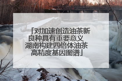 对加速创造油茶新良种具有重要意义 湖南构建四倍体油茶高精度基因图谱