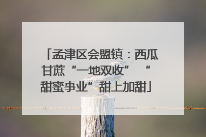 孟津区会盟镇：西瓜甘蔗“一地双收” “甜蜜事业”甜上加甜