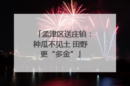 孟津区送庄镇：种瓜不见土 田野更“多金”