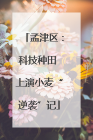 孟津区：科技种田 上演小麦“逆袭”记